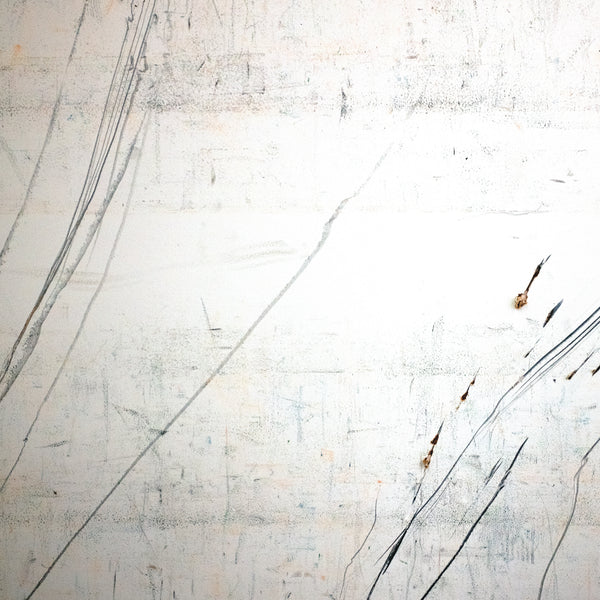 Stephen Vitiello & Taylor Deupree - Fridman Variations