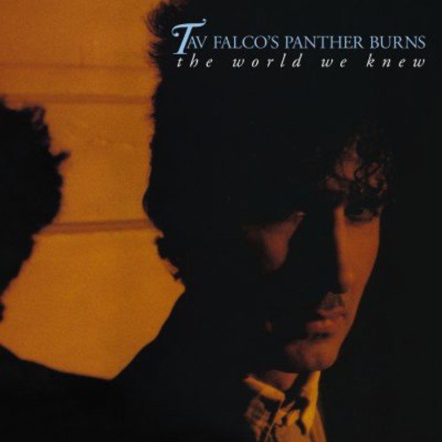 Tav Falco & Panther Burns - The World We Knew + Shake Rag + Live