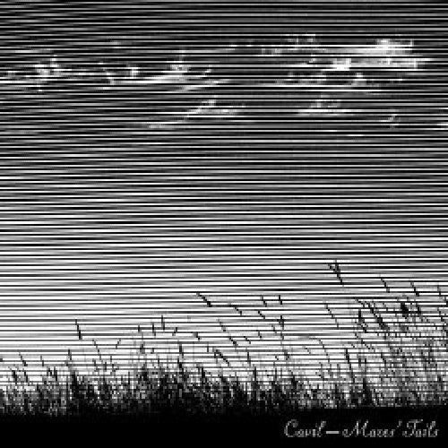 Cavil - Mares' Tails