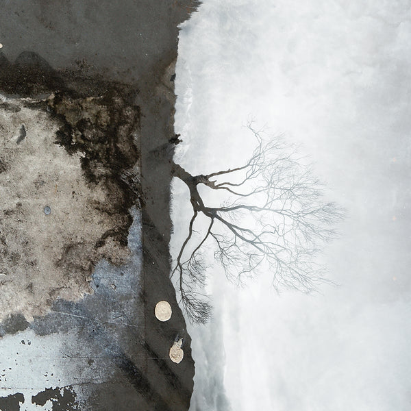 Microwolf - My Cauliflower Ears