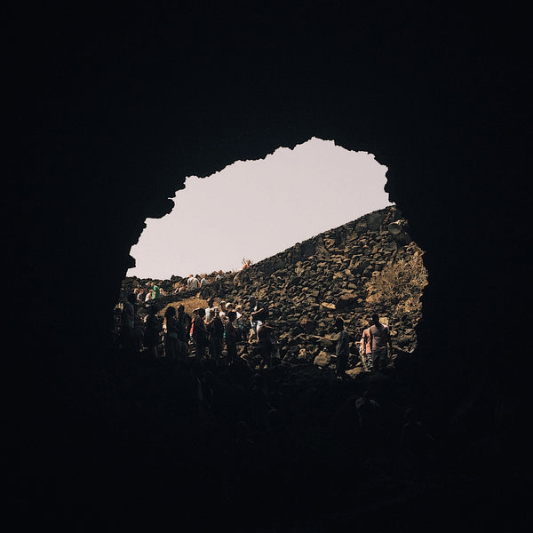 Luton - Black Box Animals