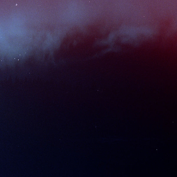 Mute Forest - Blue Chamber