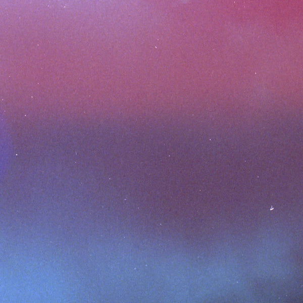 Mute Forest - Crater Laugh