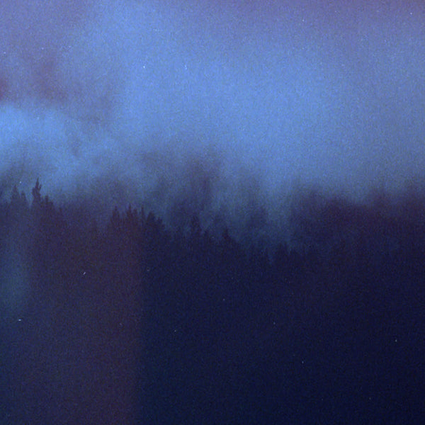 Mute Forest - Dance the Spell Off