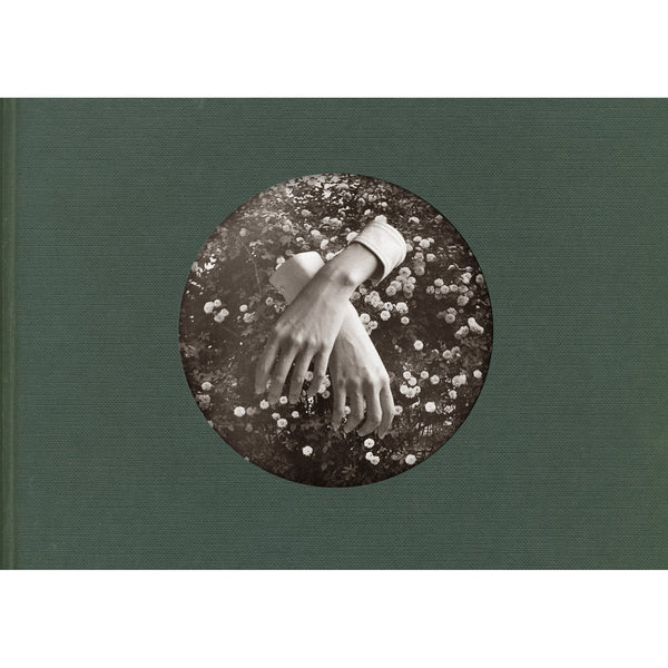 Aspidistrafly - A Little Fable