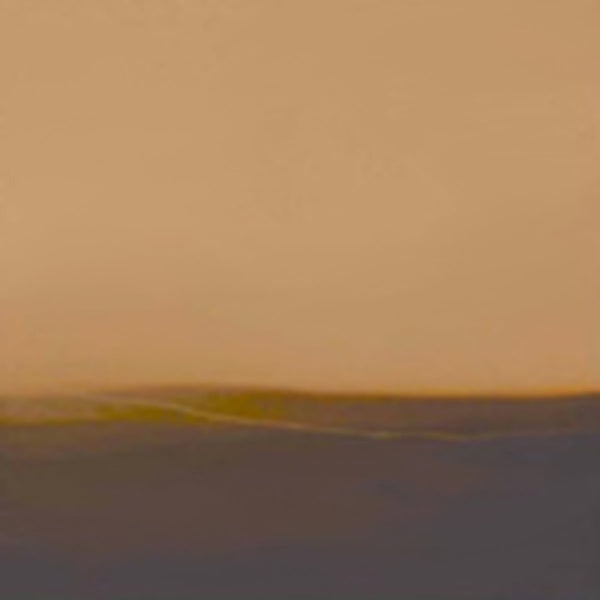 Aarktica - Pure Tone Audiometry