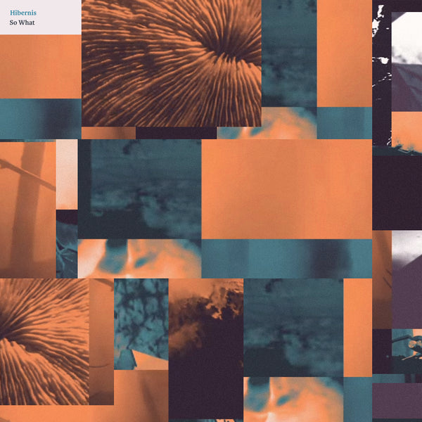 Hibernis - So What