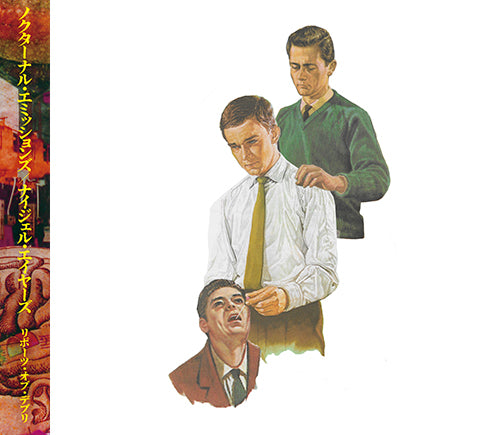 Nocturnal Emissions, Nigel Ayers ‒ Reports of Debris