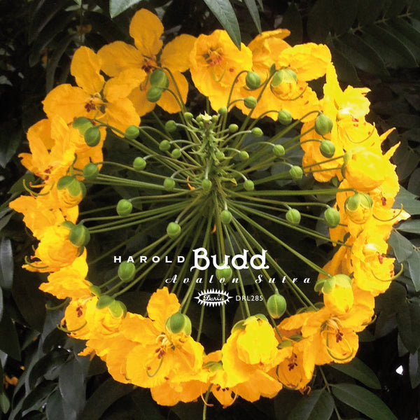 Harold Budd - Avalon Sutra (Original 2004 Master)