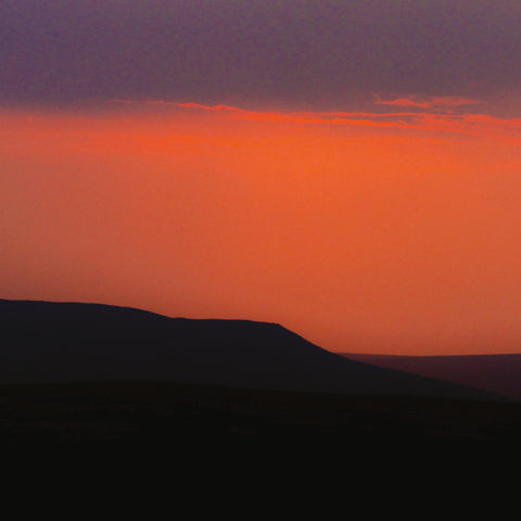 邦楽 haruka nakamura - twilight 10th aniv S__11026440.jpg?format=1500w