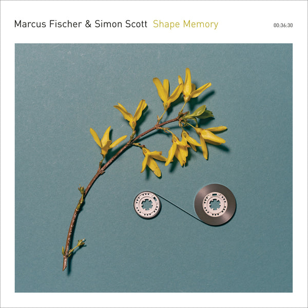 Marcus Fischer, Simon Scott - Shape Memory