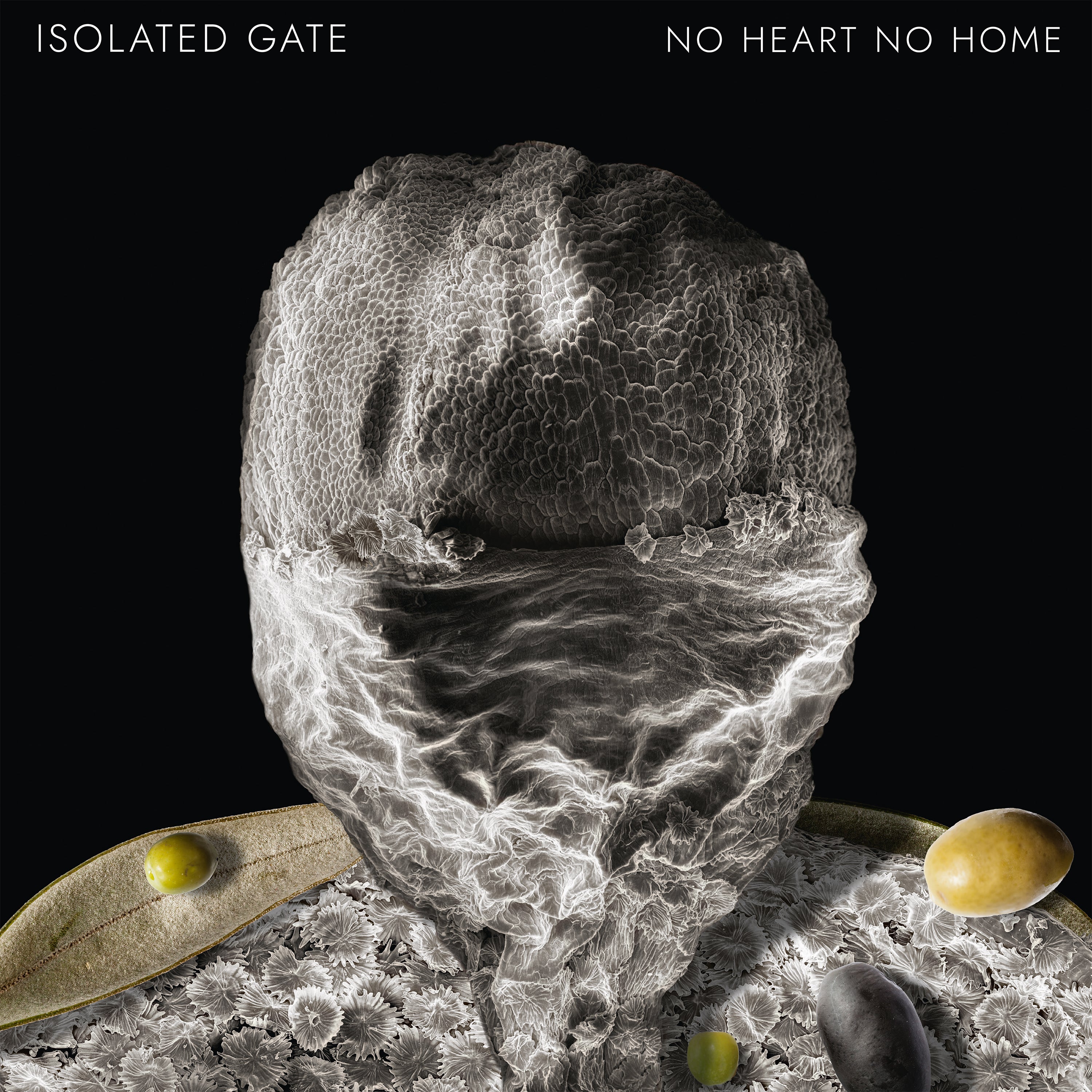 Isolated Gate - No Heart No Home + Hapax Legomenon BUNDLE