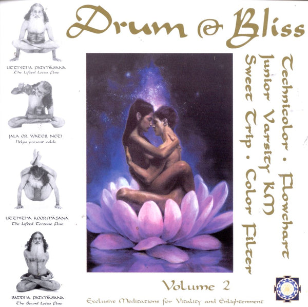 V/A - Drum & Bliss, Vol. 2