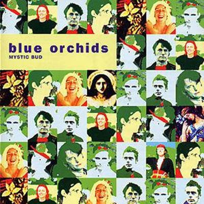 Blue Orchids - Mystic Bud