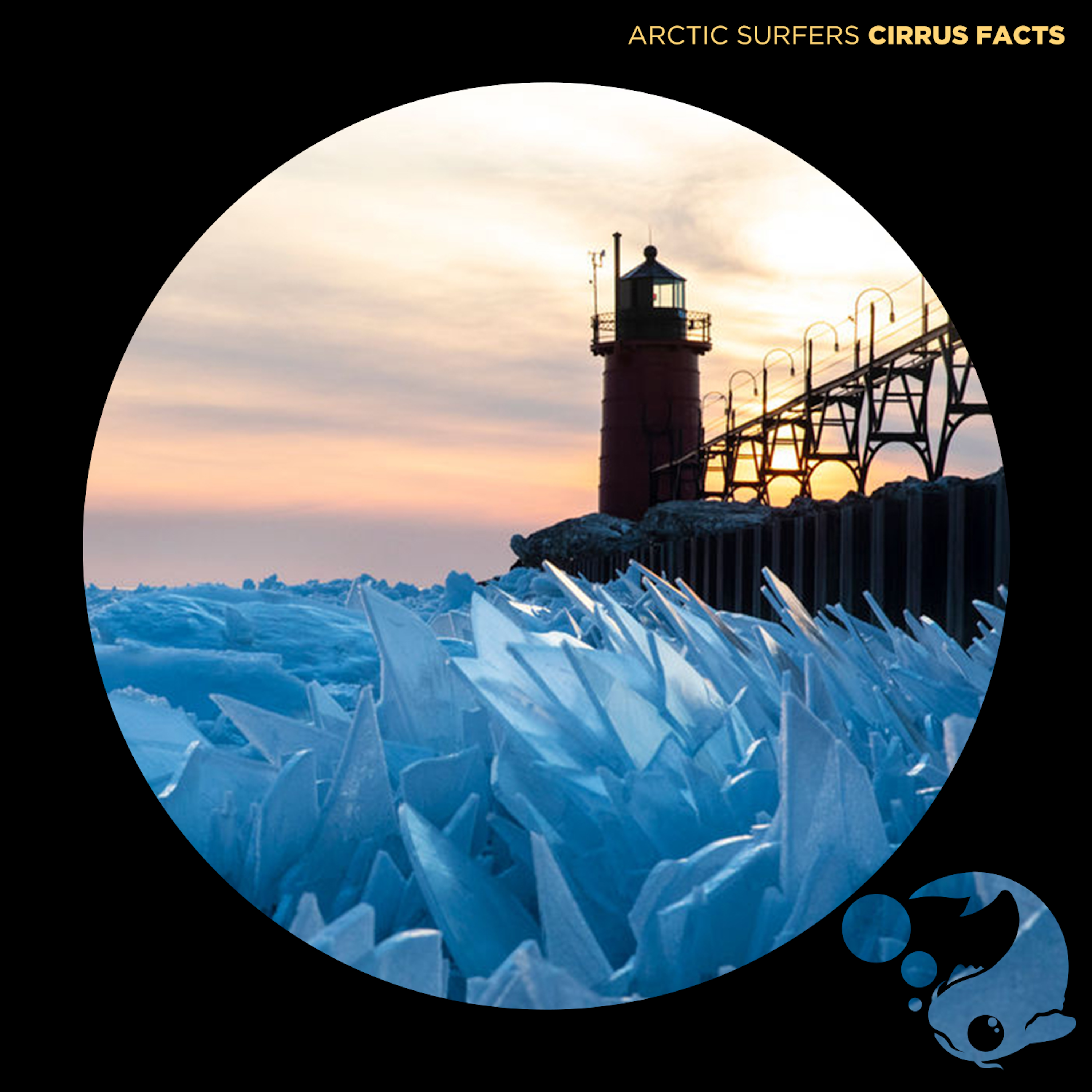 Arctic Surfers - Cirrus Facts