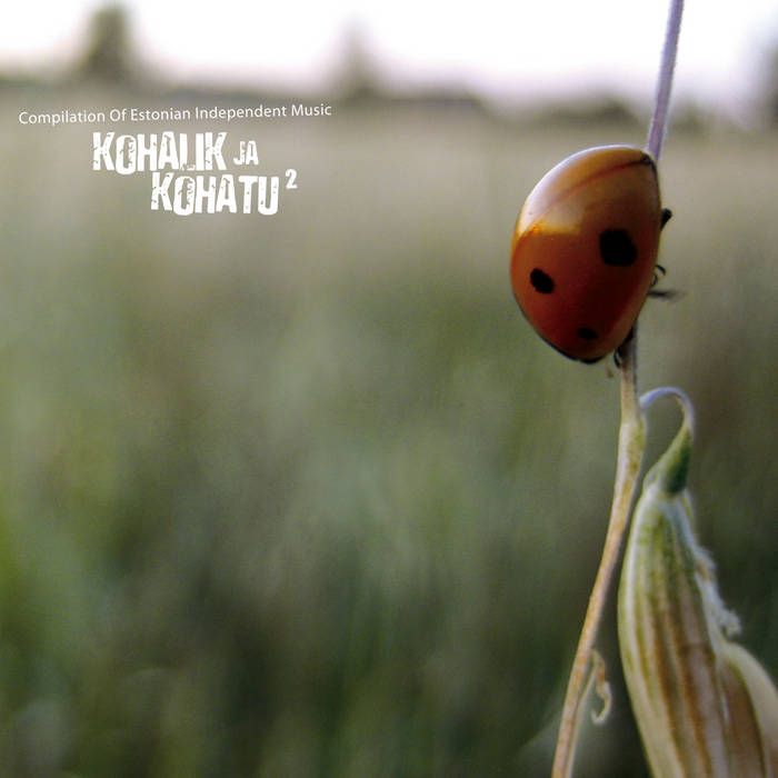 v/a - Kohalik ja Kohatu, Vol. 2 (Compilation of Estonian Independent Music)