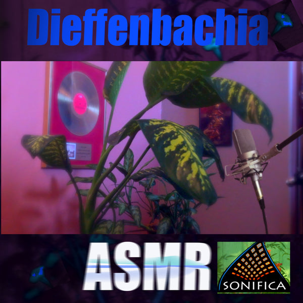 Sonifica - Diffenbachia ASMR