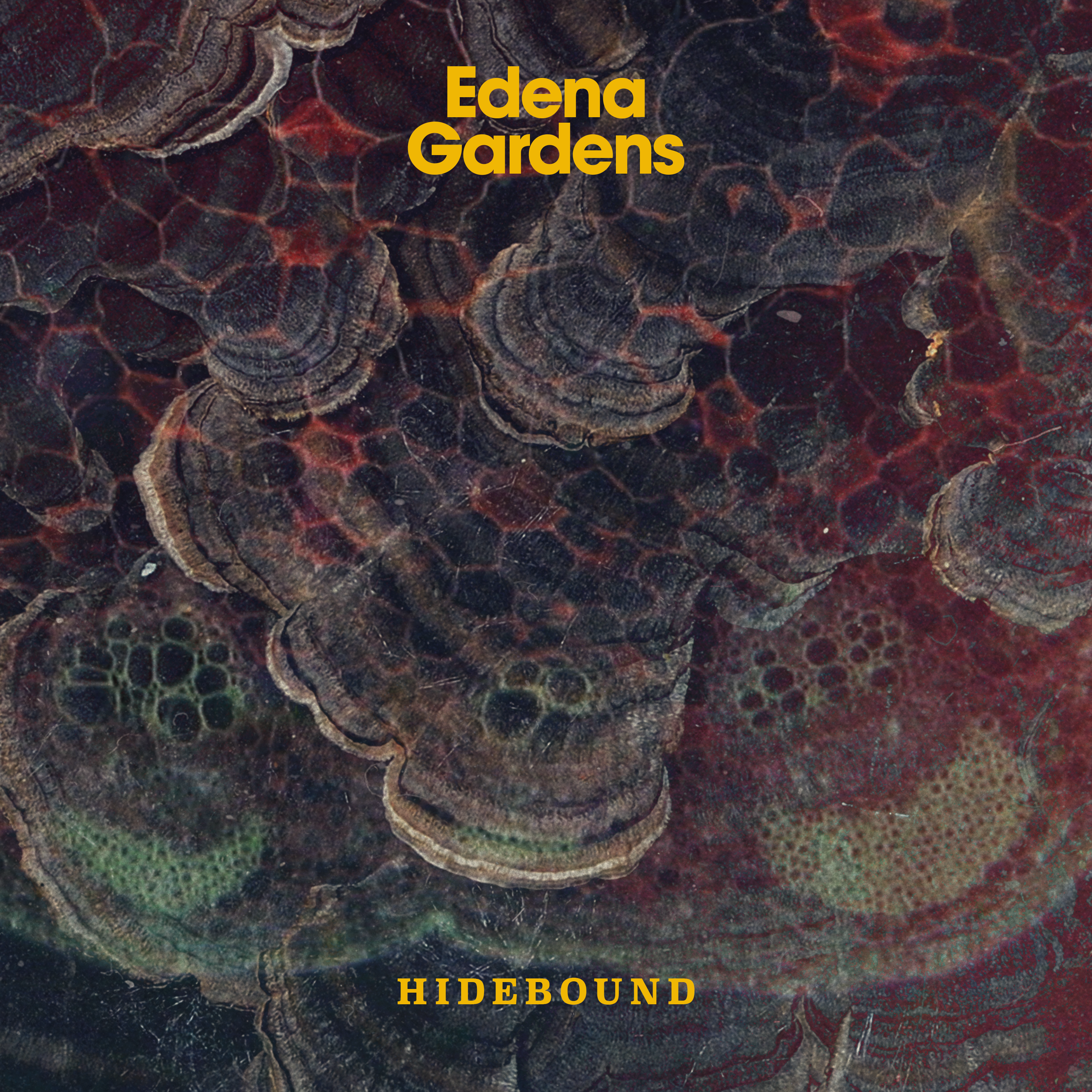 Edena Gardens - Hidebound