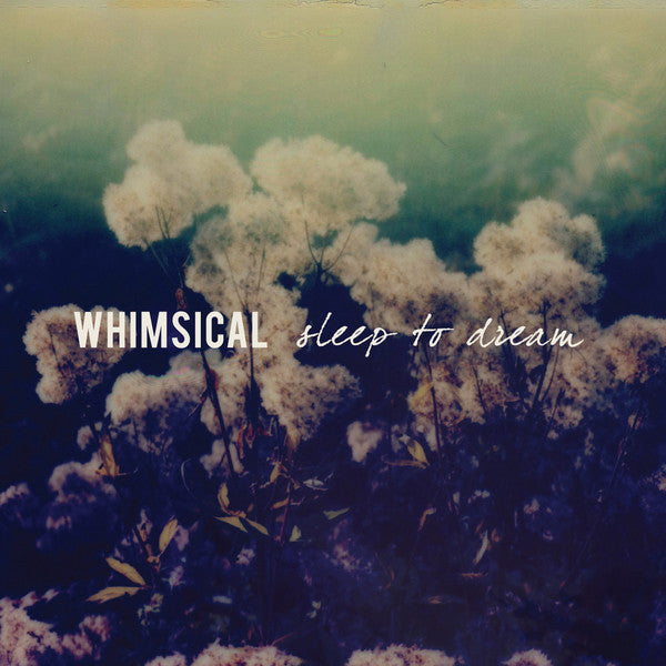 Whimsical - Sleep To Dream